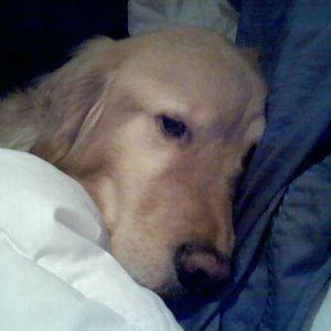 Meet your Posher, Scottandmargie